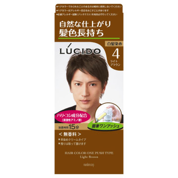 ワンプッシュケアカラー / ライトブラウン / 100g / ルシード