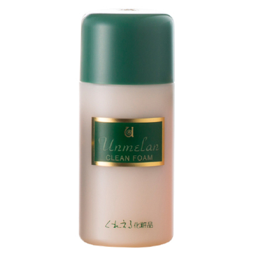 クリーンフォーム / 本体 / 100ml / くれえる