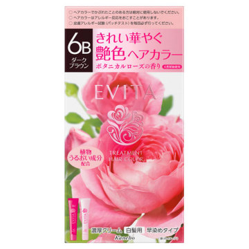 トリートメントヘアカラー / 6B ダークブラウン / 1剤45g2剤45g / エビータ