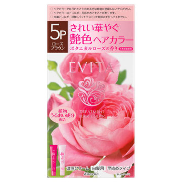 トリートメントヘアカラー / 5P ローズブラウン / 1剤45g2剤45g / エビータ