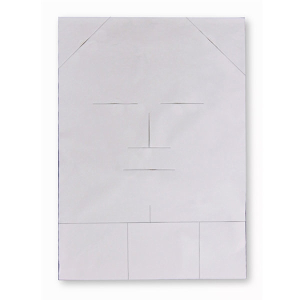 コラーゲンシート A4サイズ　5枚入 / コラーゲンシート ／ Collagen Sheet